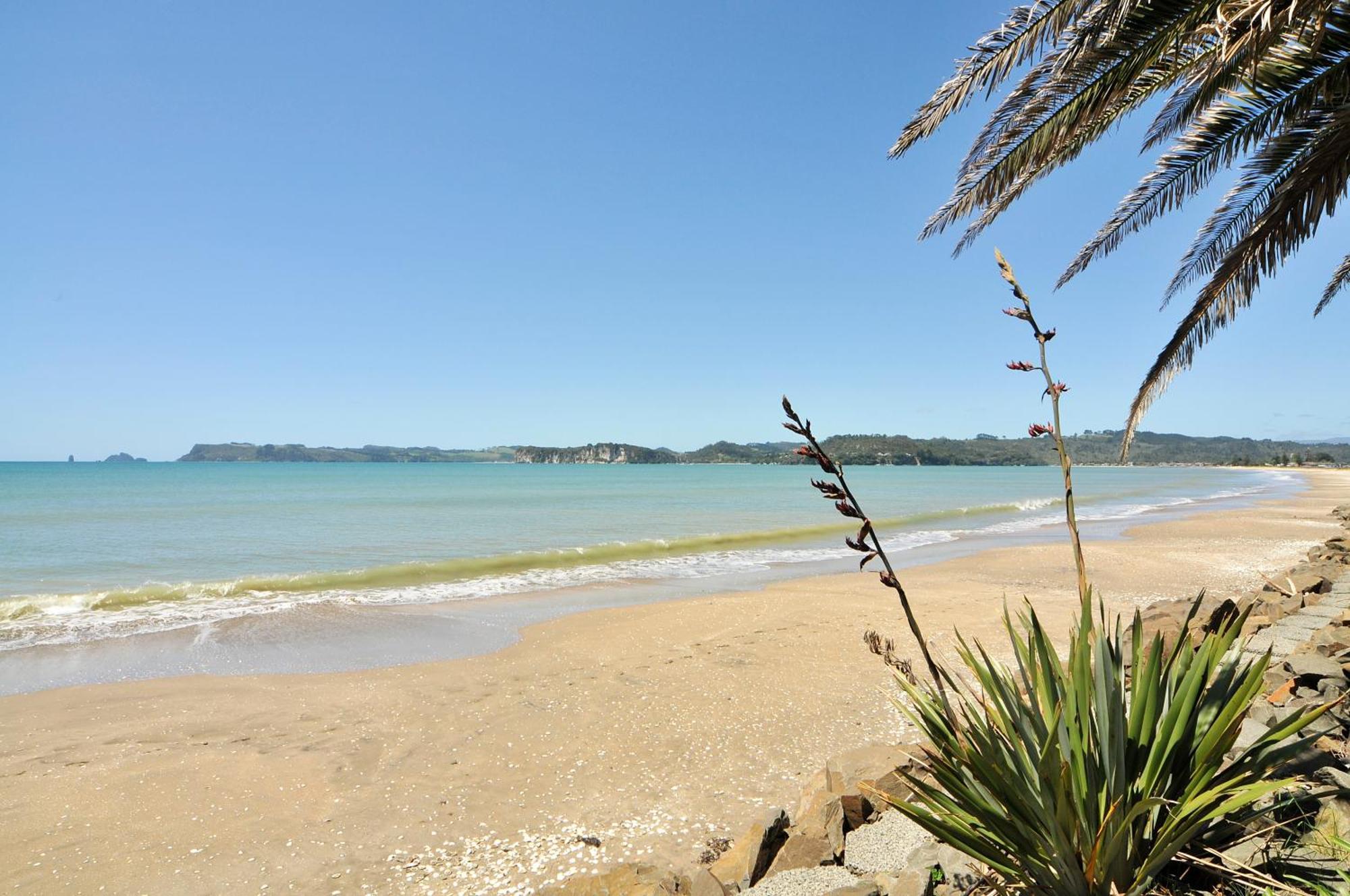 Whitianga Campground Экстерьер фото